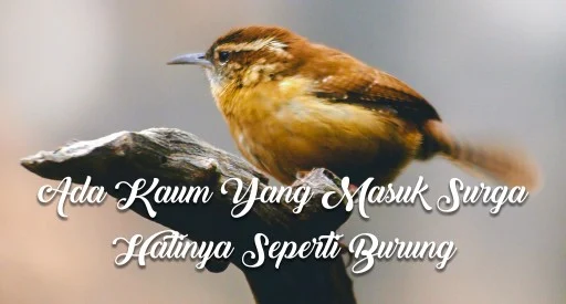 "Akan masuk surga, orang-orang yang hatinya seperti hati burung." (HR. Muslim)