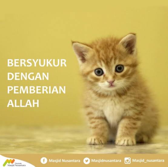 Ketika Nabi Daud Bingung Cara Bersyukur kepada Allah