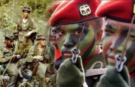 Ketua DPR: Turunkan Pasukan Elite Koopssus TNI Hadapi Separatis Papua