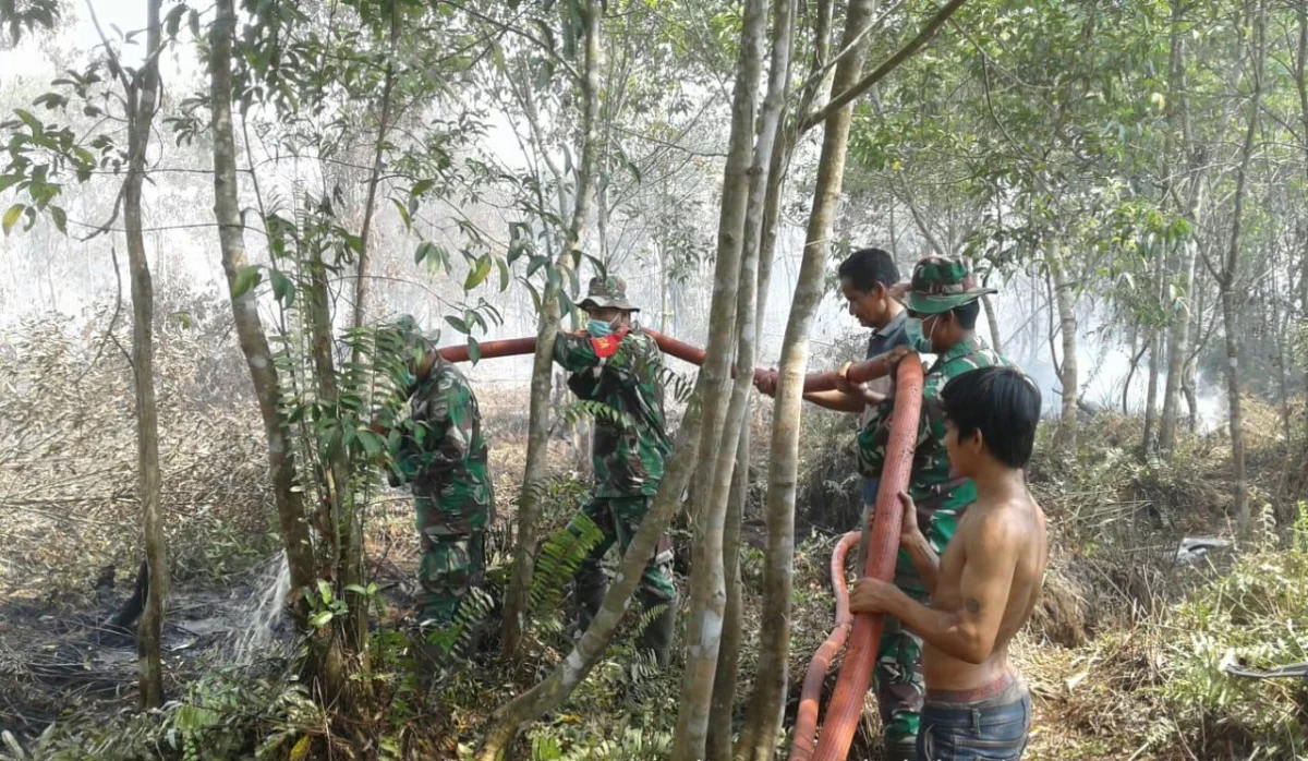 Koramil 03/Tempuling, Kodim 0314/Inhil melakukan segala upaya untuk memadamkan api dan mencegah kebakaran  hutan dan lahan (karhutla)