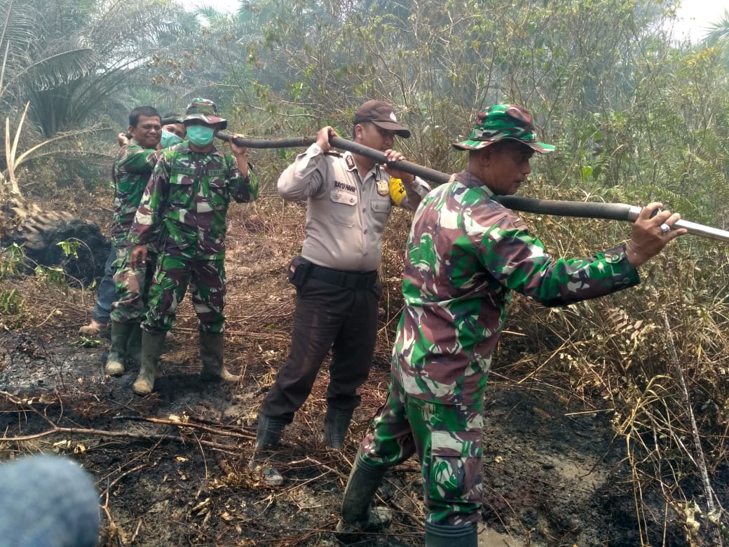 Kebakaran Hutan dan Lahan yang terjadi di Kabupaten Indragiri Hilir