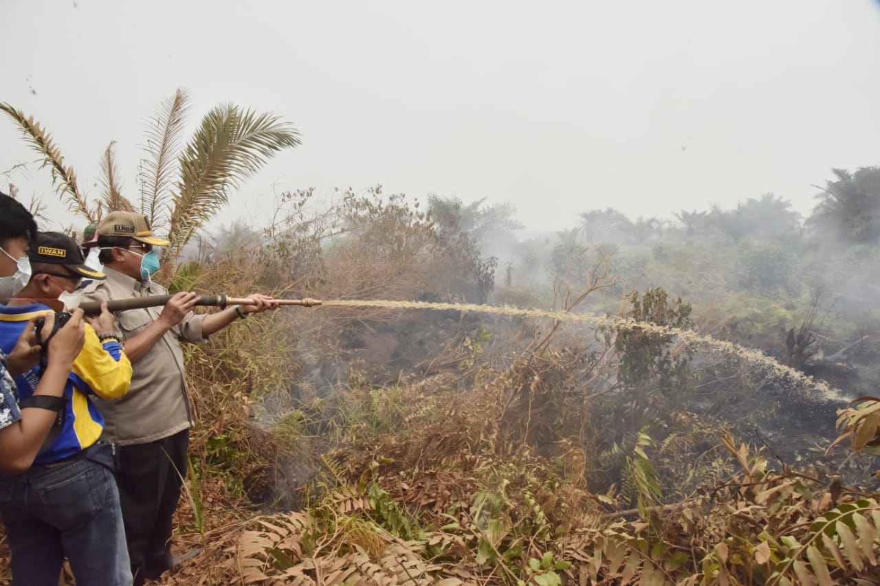 Bupati Inhil turun Langsung Memadamkan Titik Api di Tempuling