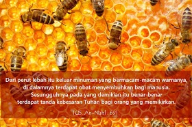 Rahasia Sembuh Segala Penyakit dalam Alquran
