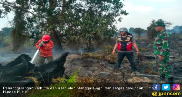 Pemkab Inhil Harus Menyusun Program Pencegahan Karhutla