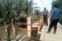 Penimbunan jalan dengan sirtu di Desa Sanglar pada hari ini dilaksanakan di Parit 11 RT 1 dan RT 2, Dusun Medan