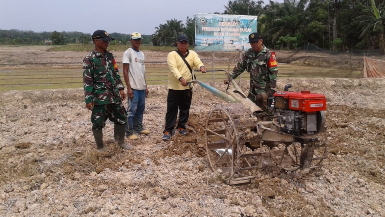 Babinsa Koramil 03/Tempuling Serda Mardia kembali ke sawah untuk membantu petani menggarap lahannya