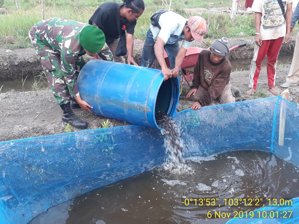 Dinas Ketahanan Pangan Provinsi Riau telah menyerahkan bibit ikan lele kepada kelompok tani Usaha Baru