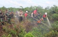 Tim gabungan dari TNI, Polri, BPBD dan Satpol PP gelar simulasi penanggulangan bencana Kebakaran Hutan dan Lahan (Karhutla)
