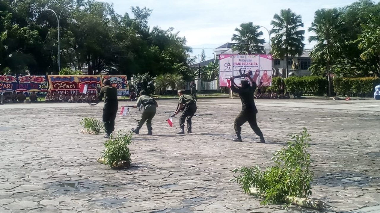 Perjuanga pahlawan Letnan M Boya dalam merebut kemerdekaan Indonesia khususnya daerah Kabupaten Indragiri Hilir