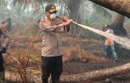 Kebakaran Hutan di Kecamatan Kateman, Kapolres Inhil Berjibaku Padamkan Api