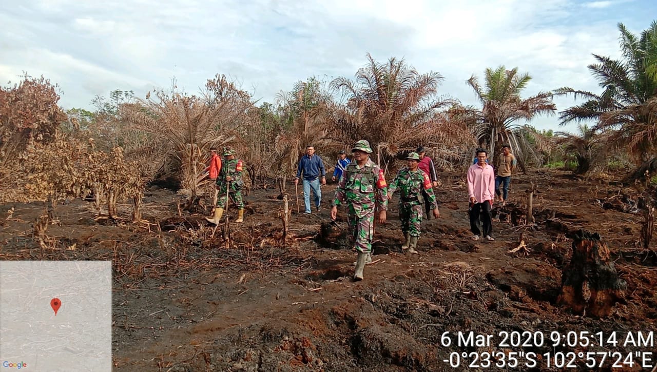 Pasca hujan yang mengguyur Karhutla yang terjadi di Parit Minang, Kelurahan Sungai Salak