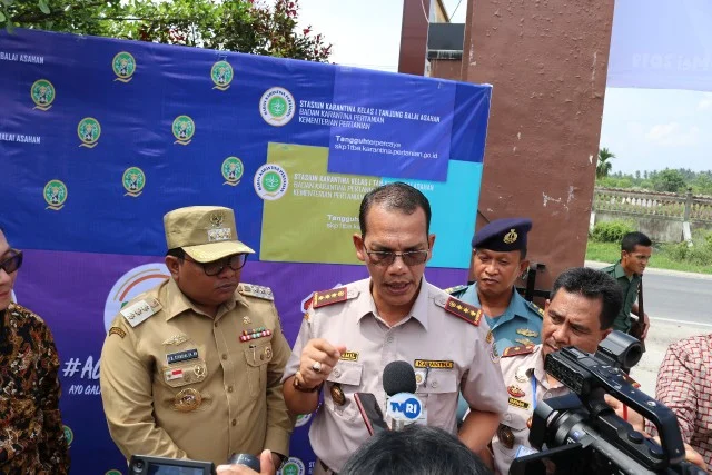 Tidak Surut, Ekspor Kelapa Parut Sumut ke Cina