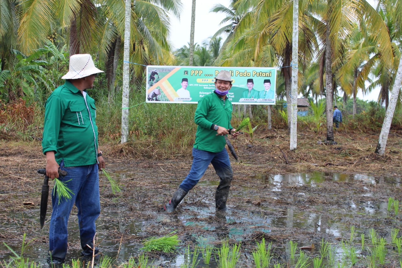 Musim Tanam 2020, PPP dan STII Inhil Dampingi Poktan Tanjung Jaya