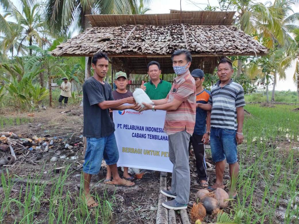 Pelindo Tembilahan Serahkan Bantuan 150 Kg Pupuk untuk Kelompok Tani