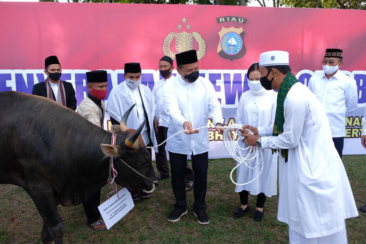 Kapolda Serahkan Secara Simbolis, Hewan Kurban Polda Riau Dan Jajaran Berjumlah 249 Ekor