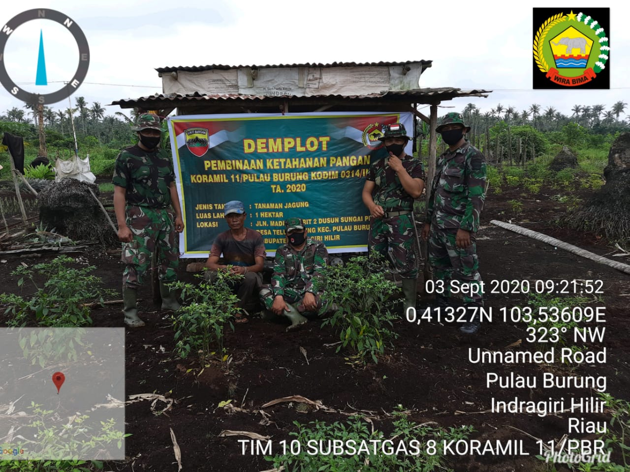 Babinsa koramil 11/pulau burung adakan Kegiatan penyiapan Lahan satu hektar ( 1 Ha ) Pembinaan ketahanan Pangan untuk di tanami jagung