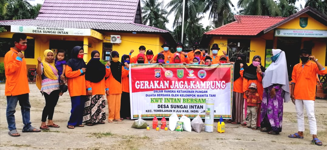 Pembinaan KWT Desa Sungai Intan, Wujudkan Lumbung Jagung Manis dan Kacang Hijau