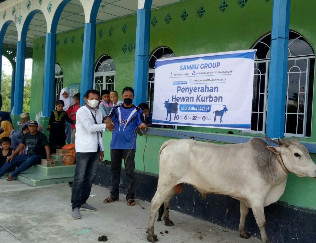 Melanjutkan Tradisi, Sambu Group Salurkan Hewan Kurban 6 Ekor Sapi dan 14 Ekor Kambing