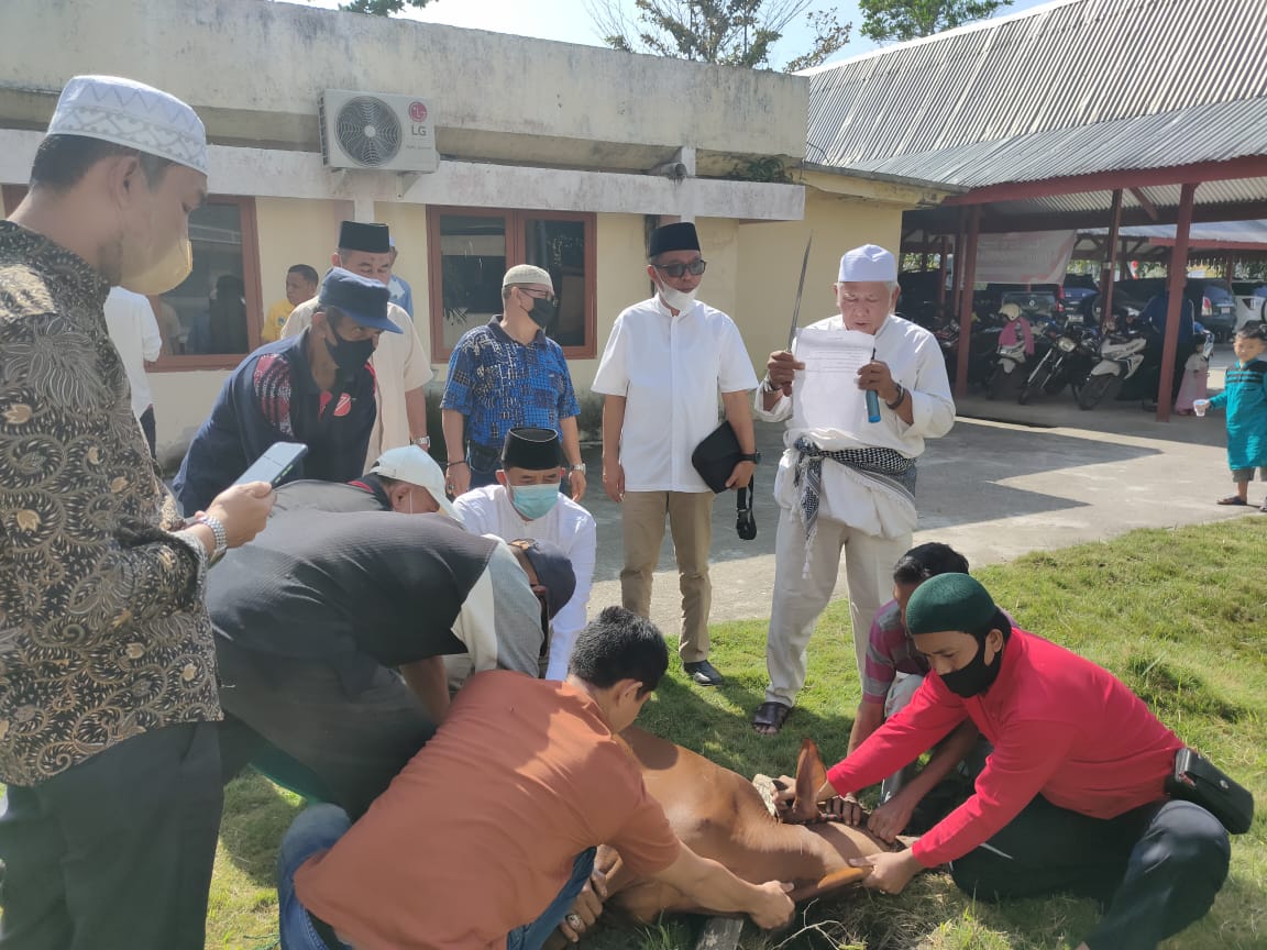 Di Hari Tasrek, Disbun Inhil Laksanakan Penyembelihan Hewan Kurban Dengan Penerapan Protokol Kesehatan