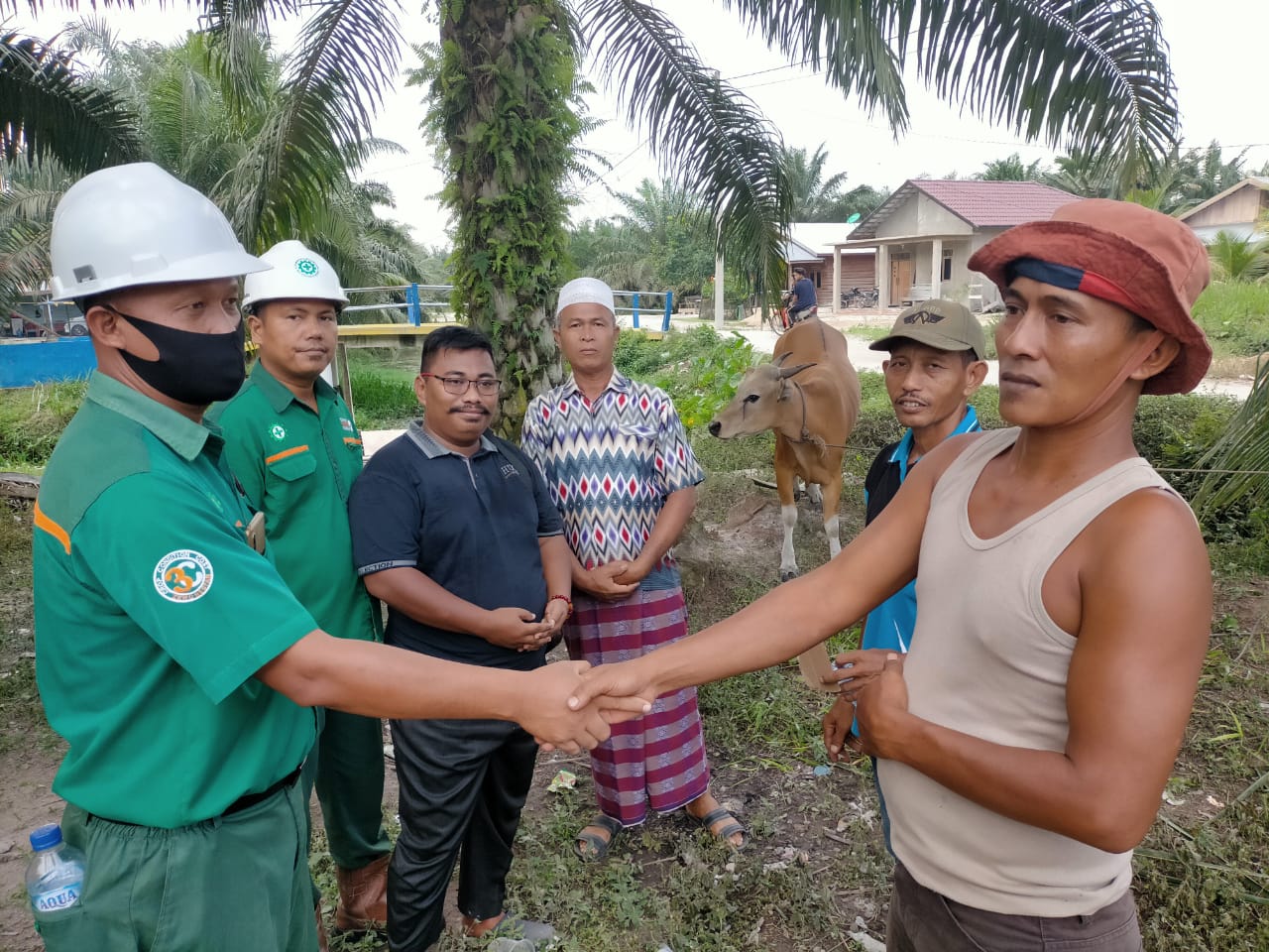 Memperingati Hari Raya Idul Adha 1442 H,PMKS PT.Berkat Sawit Sejahtera Salurkan Hewan Kurban Kepada Masyarakat