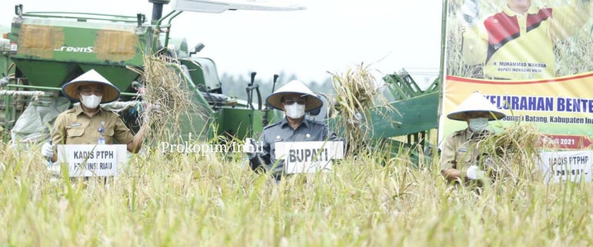 Lakukan Penen Raya, Bupati HM.Wardan : Inhil Merupakan Salah Satu Penyumbang Beras Di Provinsi Riau