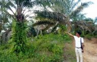 Usai Diberitakan Terkait Kebun Sawit, Suhardiman Amby Munculkan Foto Wartawan Utk di 'Adu Domba'