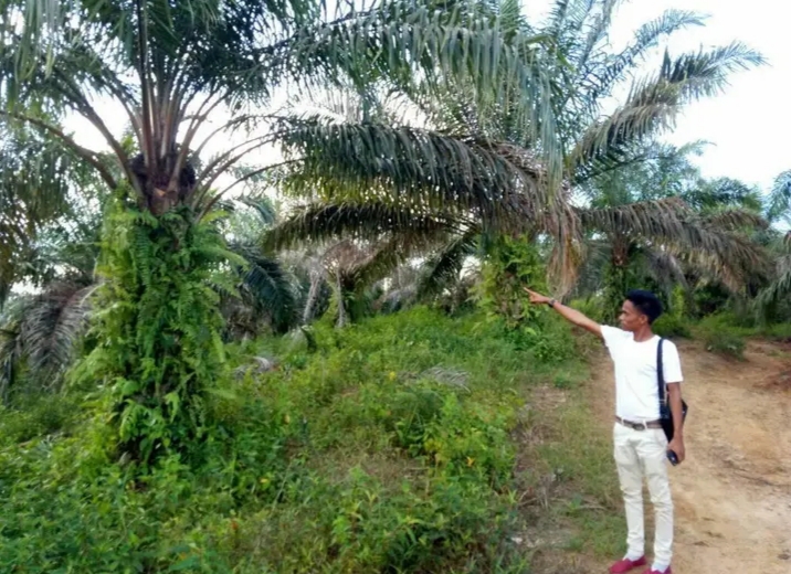 Usai Diberitakan Terkait Kebun Sawit, Suhardiman Amby Munculkan Foto Wartawan Utk di 'Adu Domba'