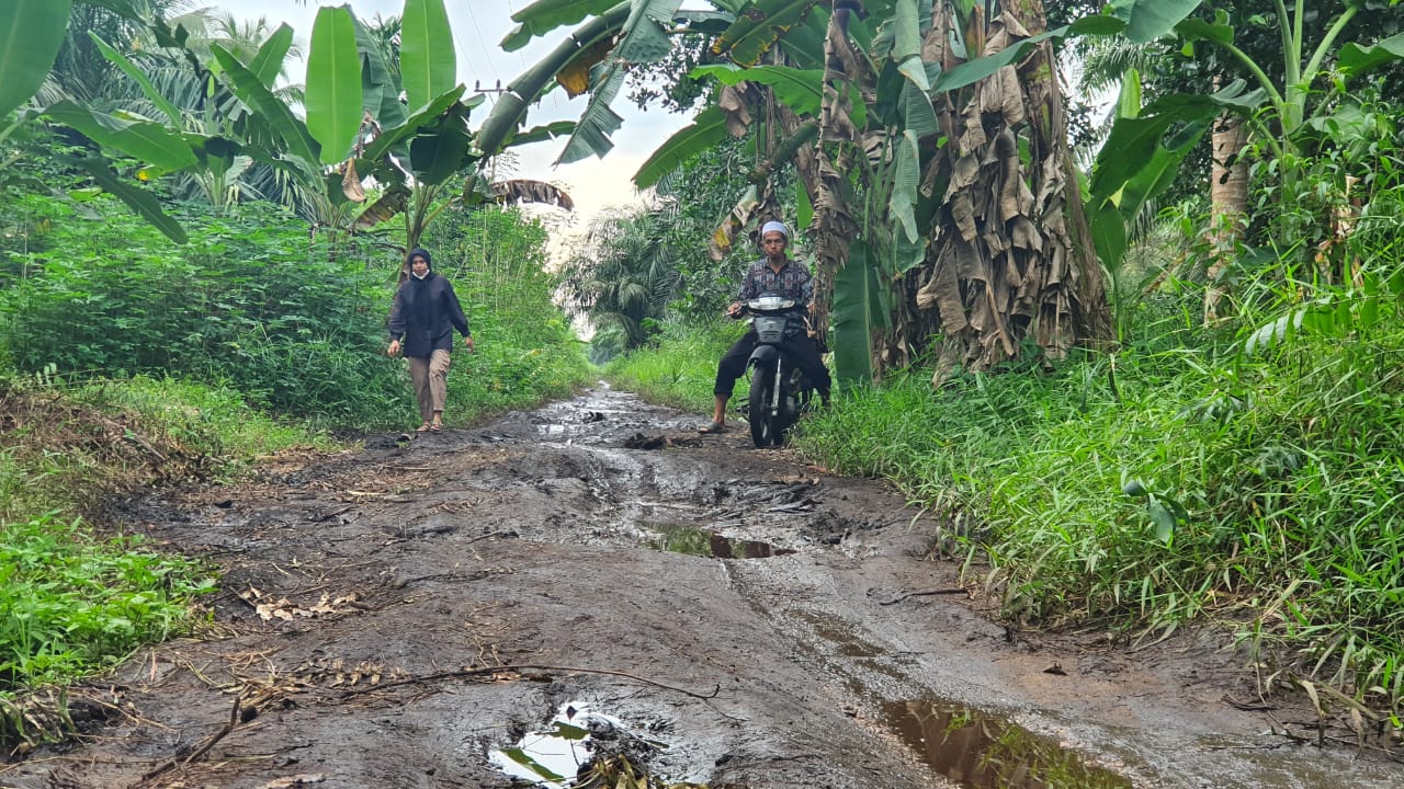 Ketua PWI Inhil Ajak Semua Pihak Swadaya Perbaiki Jalan Poros Lahang Baru ke Teluk Pinang