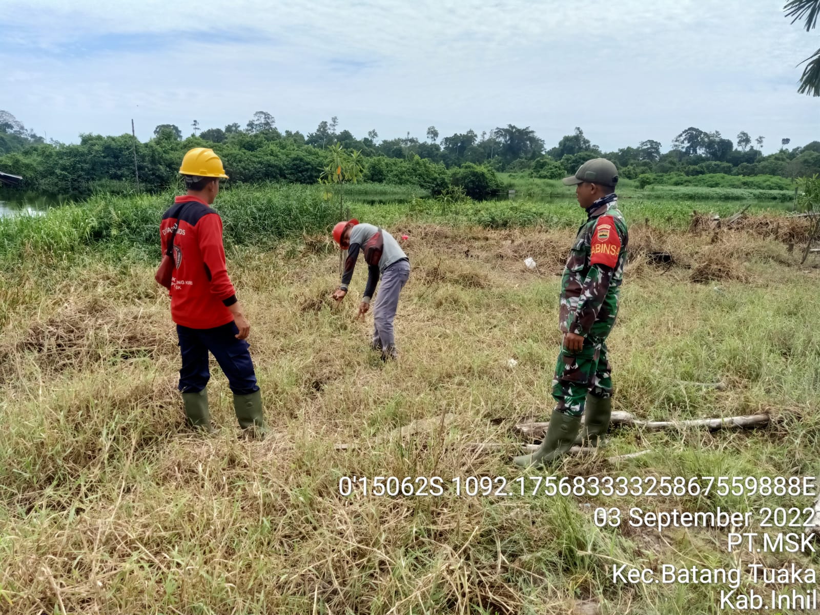 Kopda Sihabuddin Babinsa Koramil 12/Batang Tuaka Lakukan Monitoring Lahan Konsesi