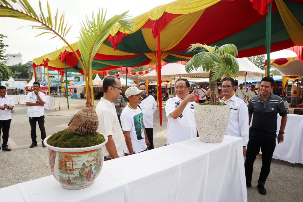 Meriahkan HPN,Bupati Inhil H.M.Wardan Melihat langsung Bonsai Kelapa yang dipertandingkan