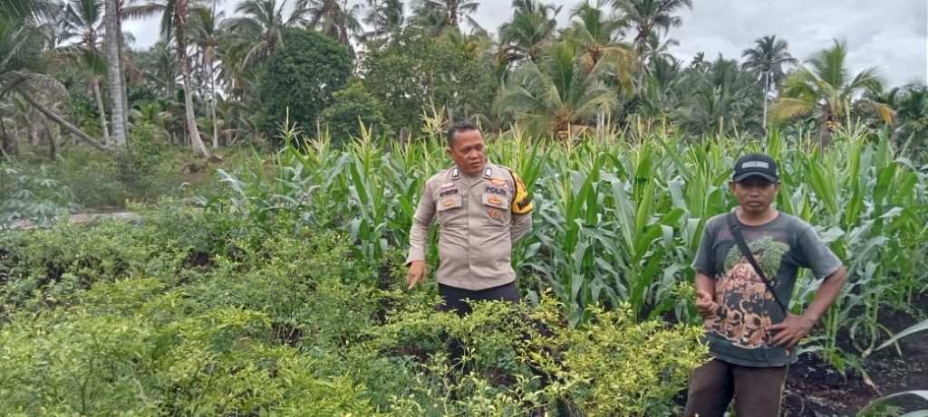 Sambang Ketahanan Pangan, Dukungan Polsek Pulau Burung Program Asta Cita Presiden RI