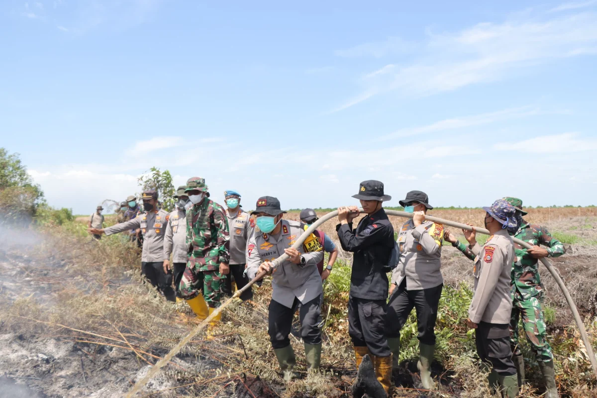 Kolaborasi Polisi-TNI-BPBD Berjibaku Padamkan Karhutla di Rokan Hilir