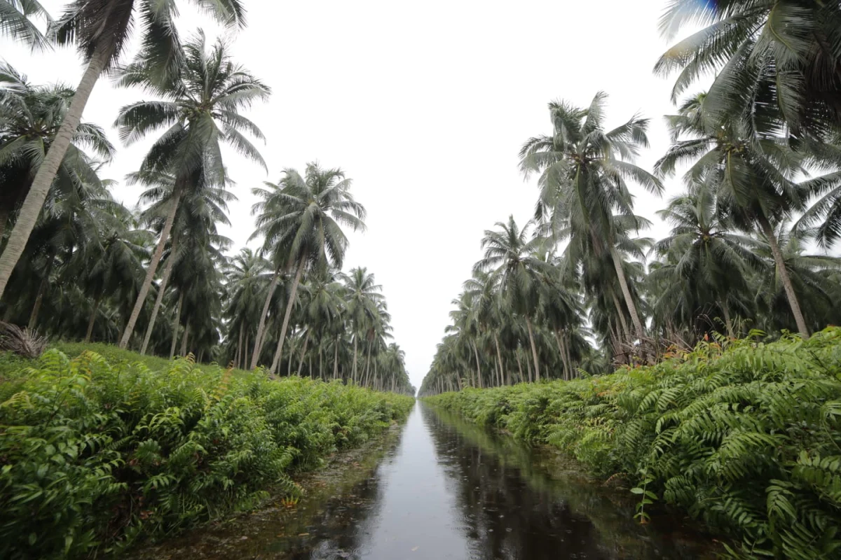 Sambu Group Menyatukan Nilai untuk Menumbuhkan Masa Depan Industri Kelapa Indonesia dalam 58 Tahun Dedikasinya