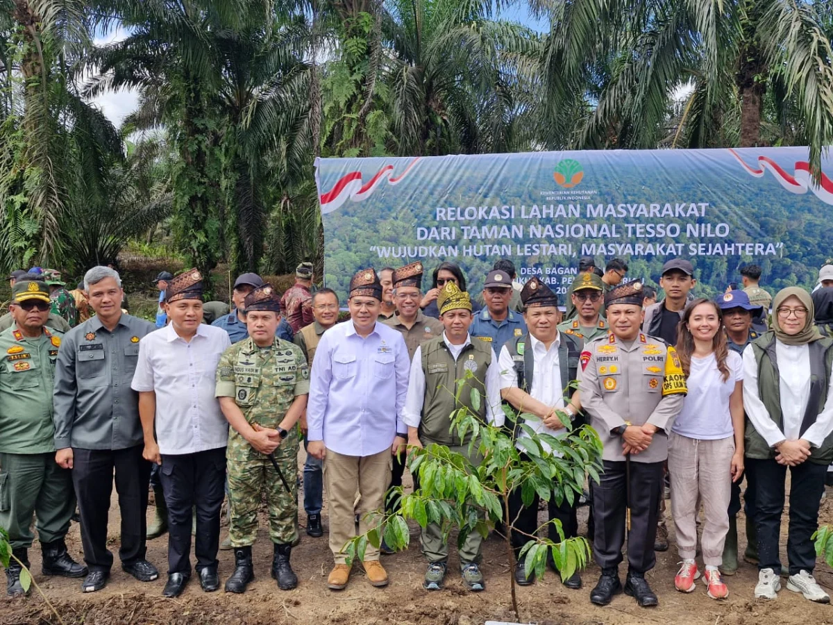 Disaksikan Menhut, Gubernur, Kapolda, Pangdam XIX, dan Kajati Riau, Penumbangan Sawit Awali Pemulihan Tesso Nilo