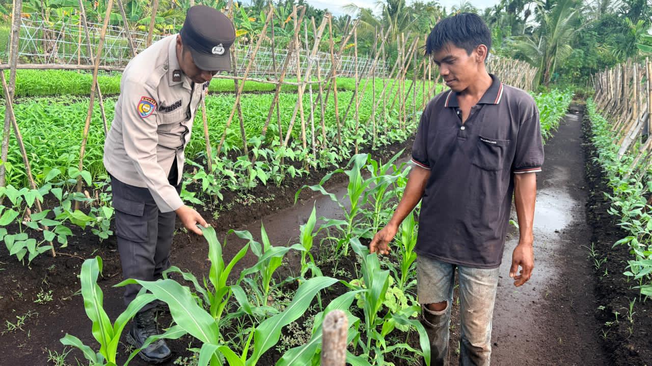 Personil Polsek Pulau Burung Cek Perkembangan Pertumbuhan Tanaman Kacang Panjang di Lahan Holtikultura