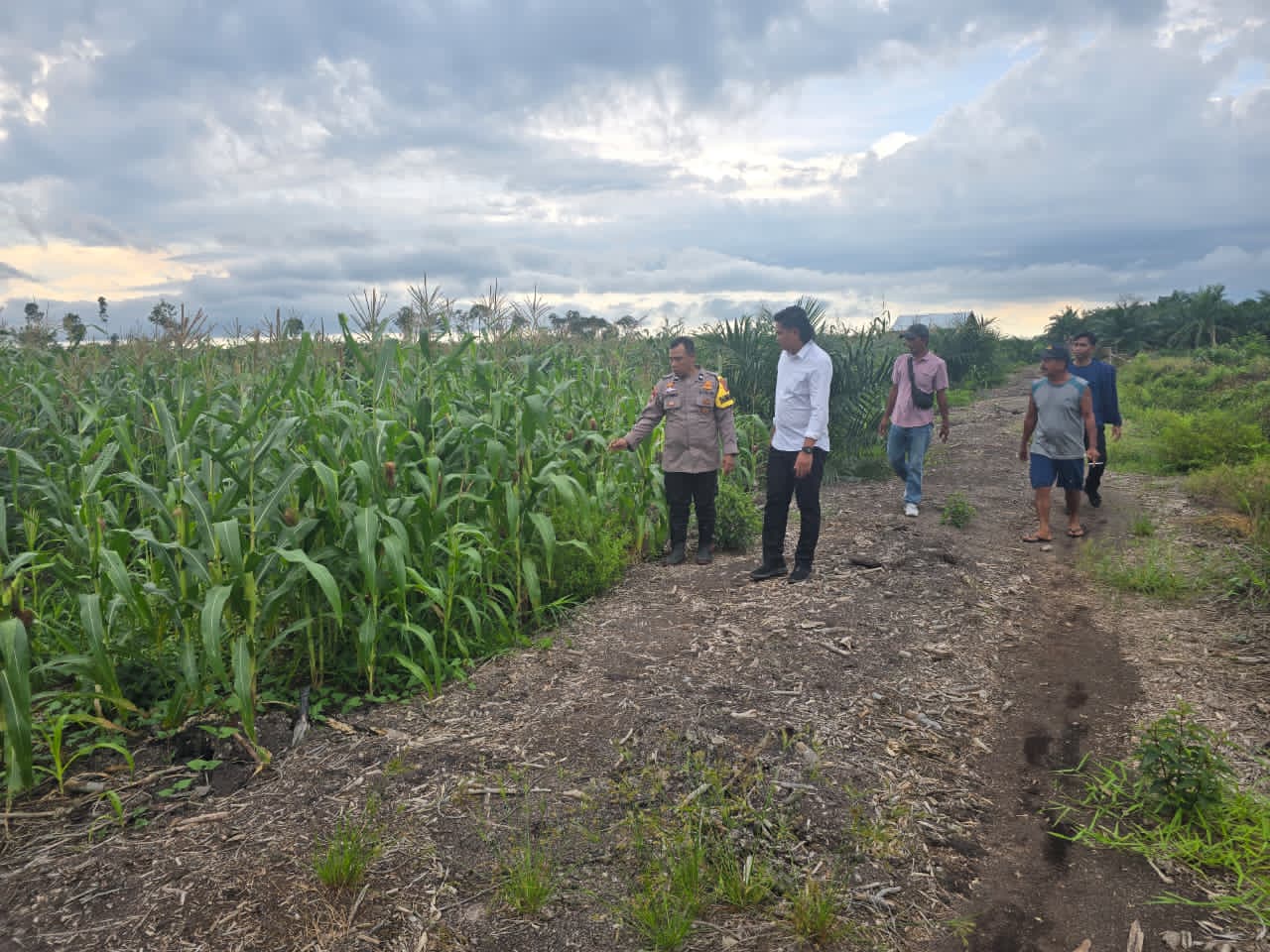 Lebih Dekat dengan Petani, Bhabinkamtibmas Pelangiran Hadir Tangani Dinamika Sektor Pertanian
