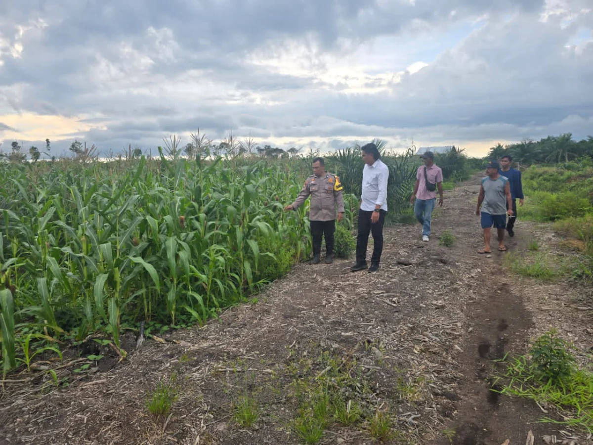 Lebih Dekat dengan Petani, Bhabinkamtibmas Pelangiran Hadir Tangani Dinamika Sektor Pertanian