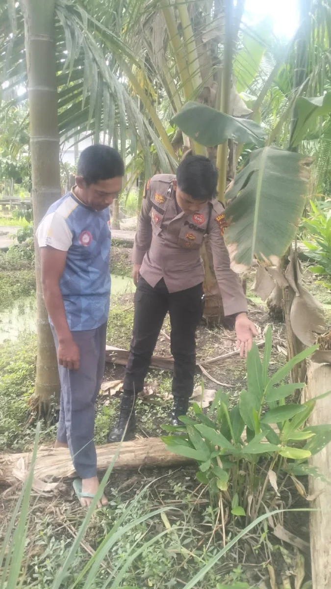 Dorong Kemandirian Warga Lewat Toga, Personel Polsek Enok Pantau Serai dan Lengkuas di Pekarangan