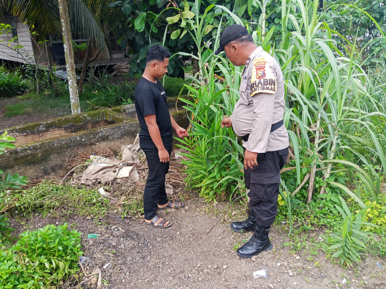 Sinergi Polsek Enok dan Warga Desa Simpang Tiga Darat, Pekarangan Rumah Jadi Sumber  Pangan dan Kesehatan  Keluarga