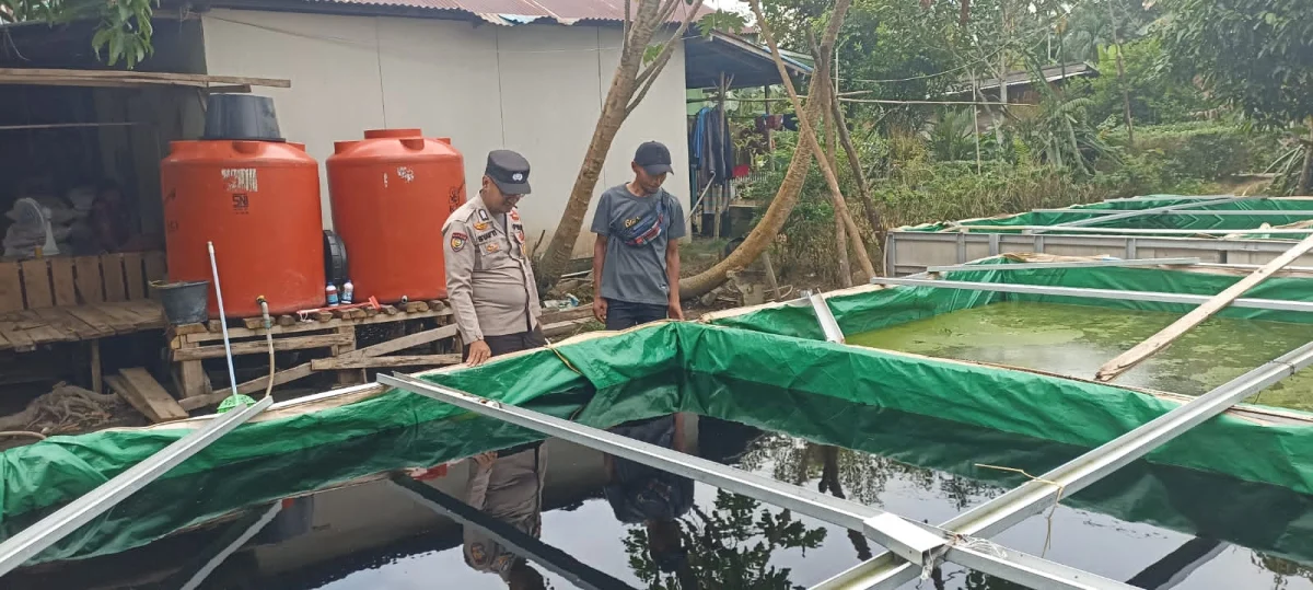 Dukung Ketahanan Pangan, Bhabinkamtibmas Polsek Pelangiran Pantau Perkembangan Ikan Lele dan Mujair