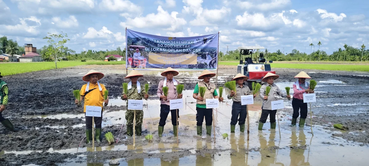 Indragiri Hilir Gelar Gerakan Tanam Serentak, Distan Inhil Komitmen Dukung Swasembada Pangan