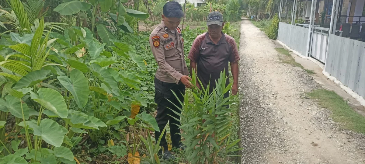 Bhabinkamtibmas Polsek Enok Gencarkan Edukasi Pemanfaatan Pekarangan sebagai Sumber Pangan Keluarga