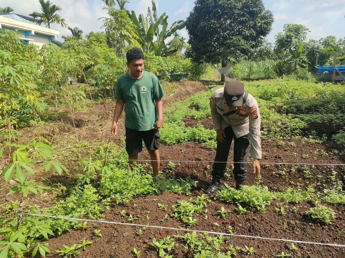 Bhabinkamtibmas Polsek Pulau Burung Dorong Budidaya Kemangi, Tingkatkan Asupan Vitamin dan Ketahanan Pangan Warga