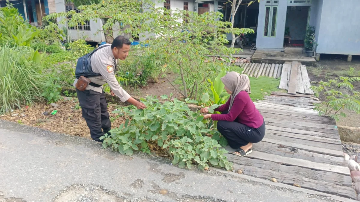 Personil Polsek Enok Kembangkan Tanaman Obatan