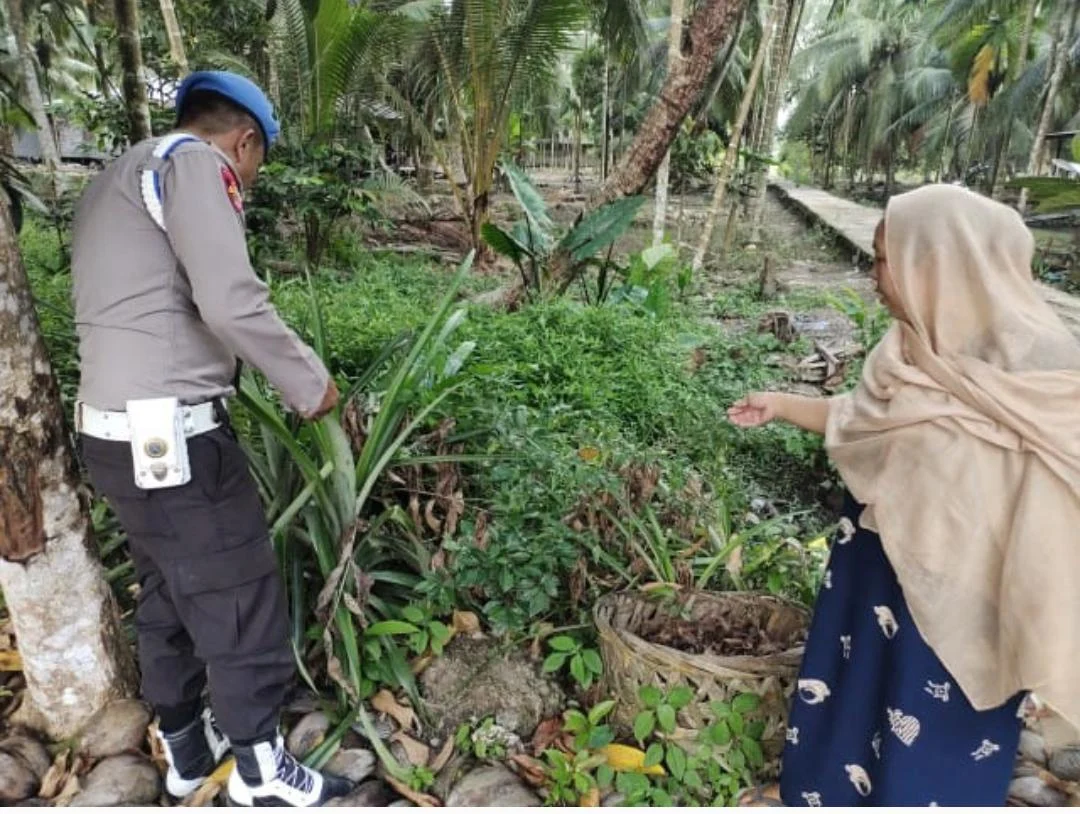 Dorong Produktivitas Ekonomi Masyarakat, Personel Polsek Enok Pantau Tanaman Di Perkarangqn Rumah