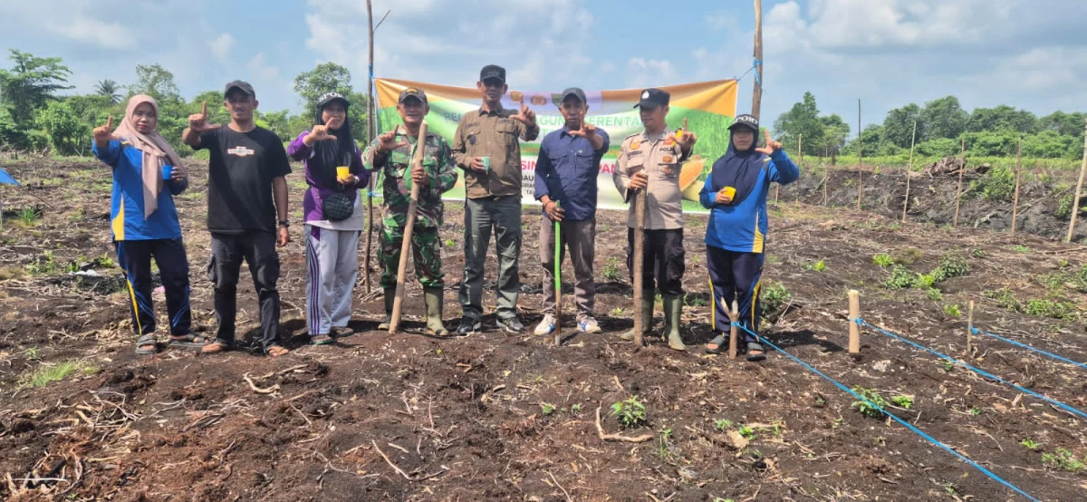 Bhabinkamtibmas Polsek Pelangiran Aktif Dampingi Penanaman Jagung Program Ketahanan Pangan di Baung Rejo Jaya