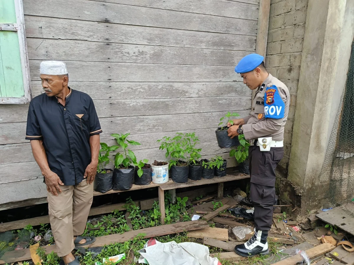 Personel Polsek Enok Dorong Pemanfaatan Polibag dan Pot untuk Pengembangan Tanaman Cabe Warga
