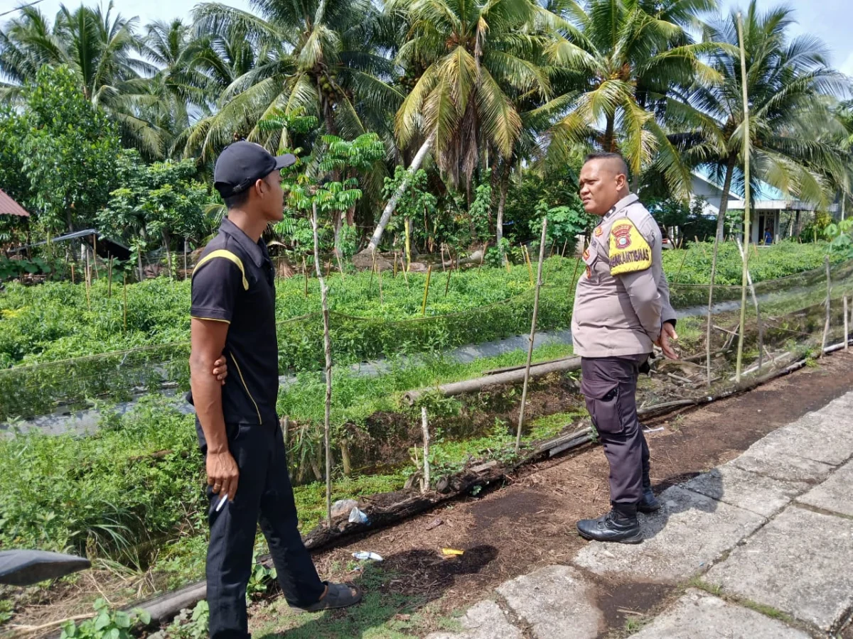 Bhabinkamtibmas Polsek Pulau Burung Dorong Budidaya Cabai Tempatan untuk Atasi Kelangkaan dan Tingginya Harga Cabai