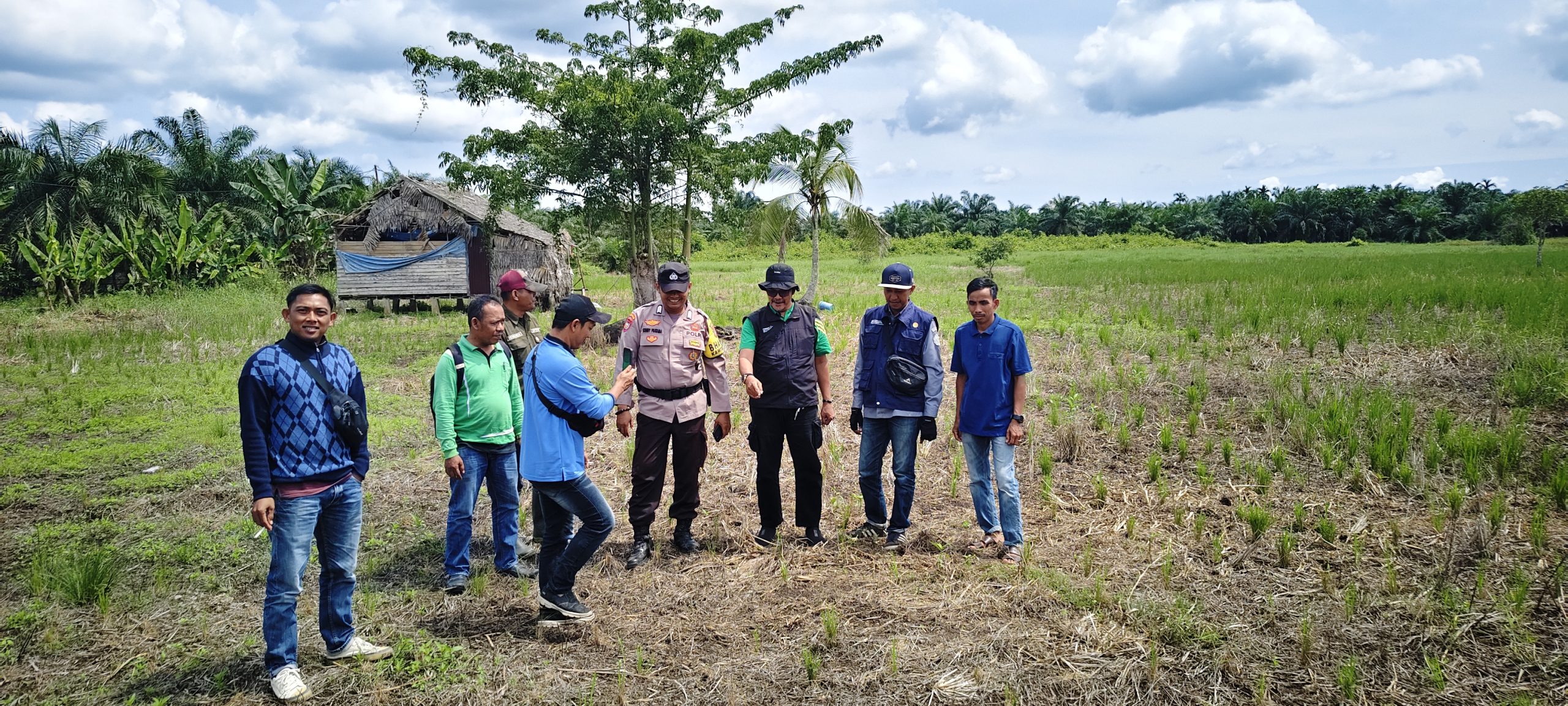 Antisipasi Dampak El Nino, Dinas Pertanian Inhil Intensifkan Monitoring Sentra Pangan