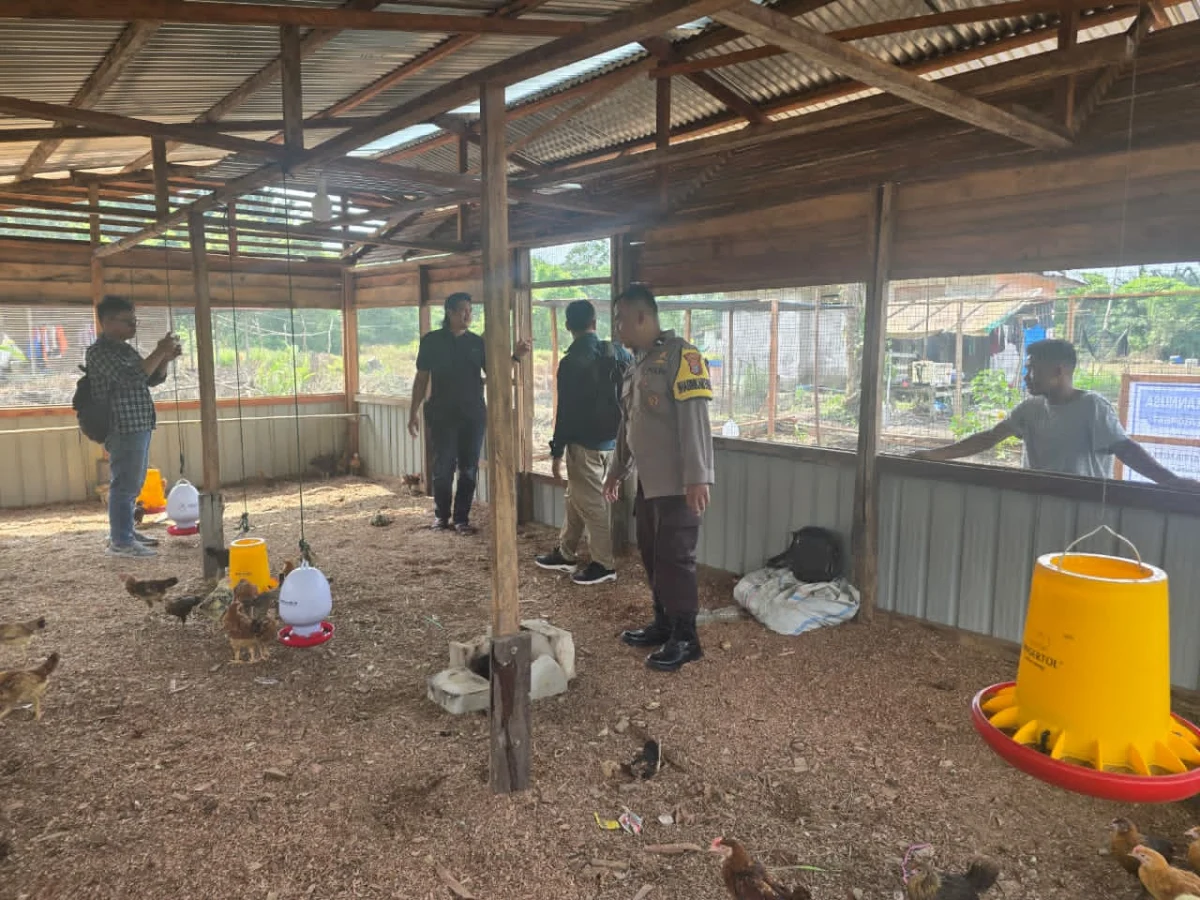Sambangi Peternak Ayam Kampung, Bhabinkamtibmas Polsek Pelangiran Perkuat Pemenuhan Protein Hewani Masyarakat